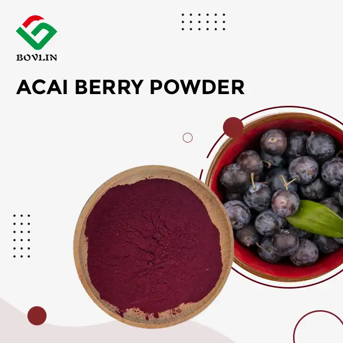Organic Acai Berry Powder Organic Acai Berry Powder